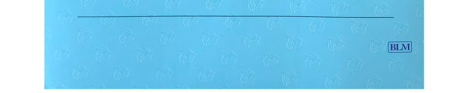 檢定證書結果第3頁(樣版)